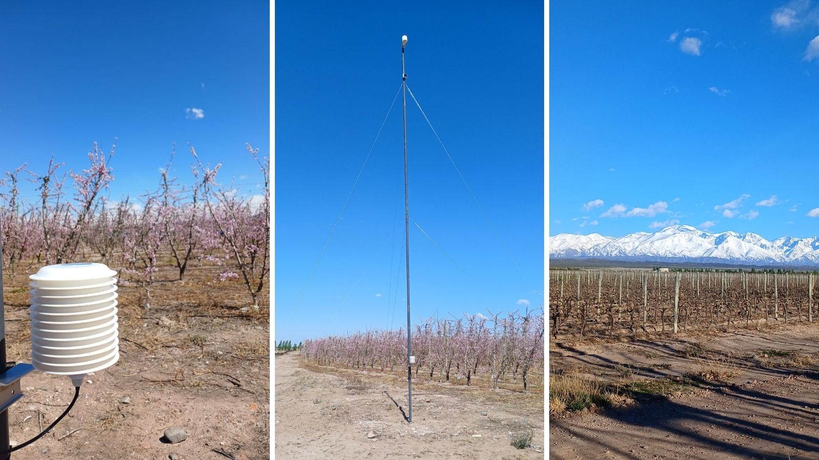 Inversión térmica para control de heladas en duraznos