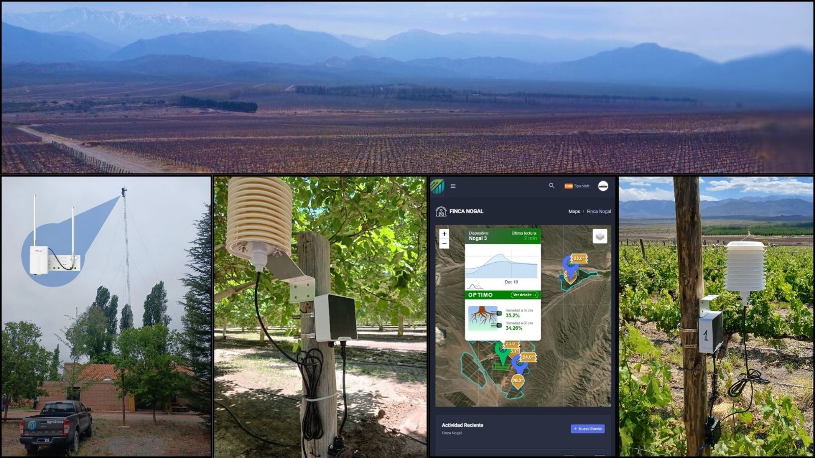 800 ha de nogales y viñedos en Valle de Pedernal, San Juan