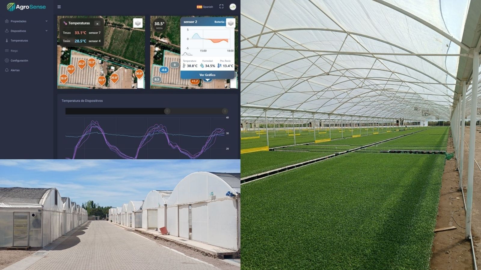Vivero hortícola con naves de producción y cámara de forzadura