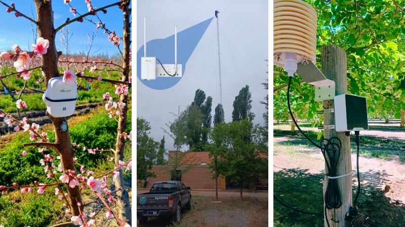Sensores IoT